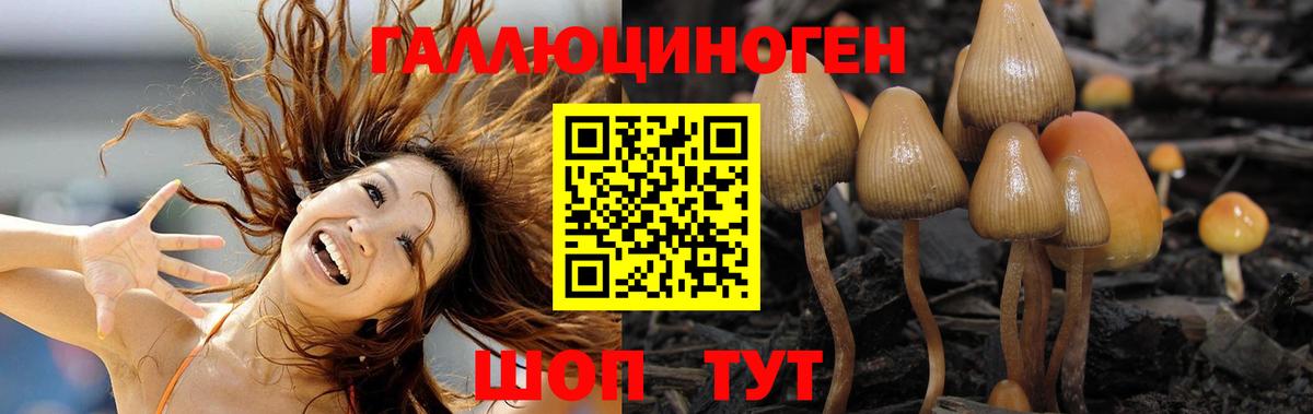 Урюпинск  закладка  Вход с VPN  Псилоцибиновые грибы мицелий 